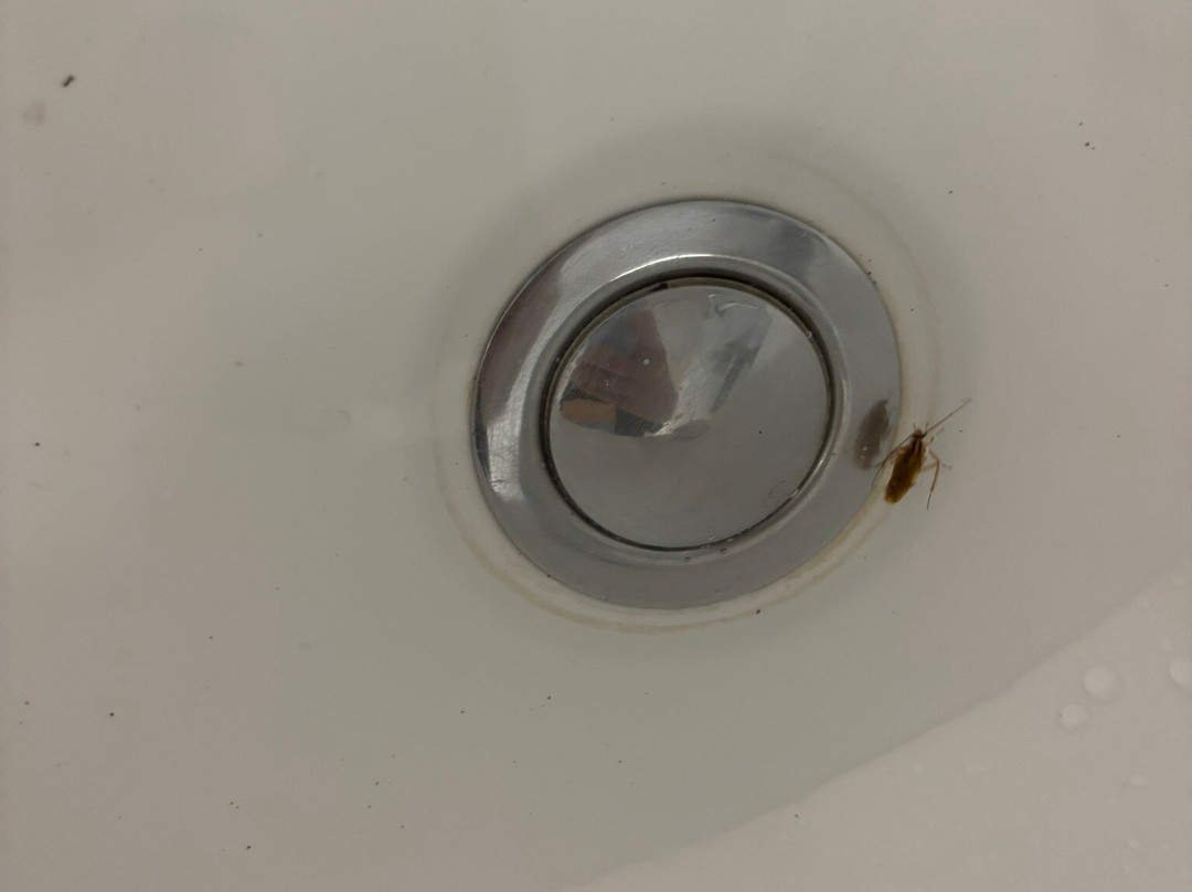 Hillary Hanoi Hotel主图