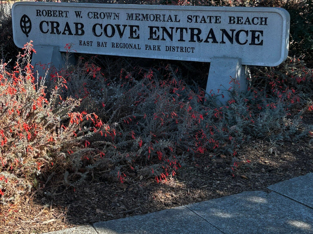 Crab Cove Visitor Center-阿拉米达必去景点