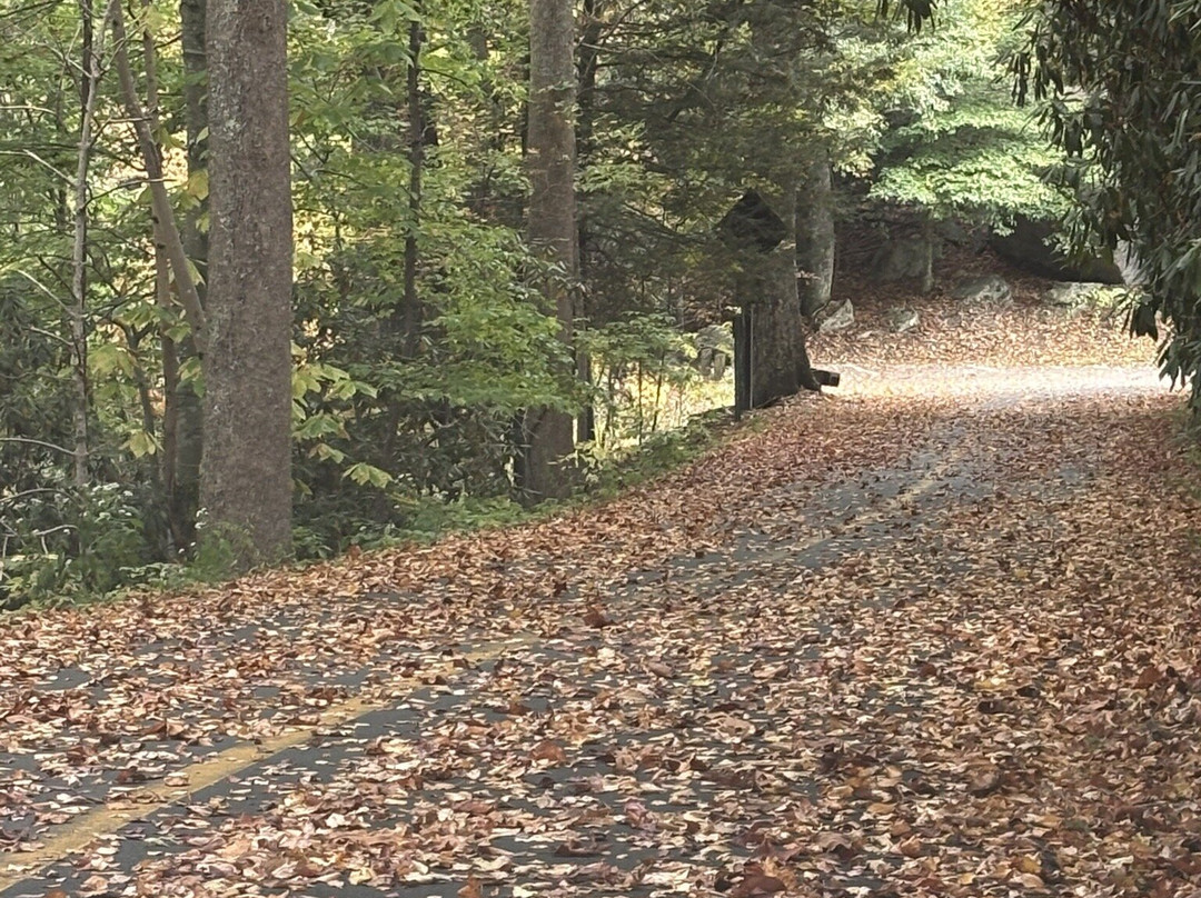Turkey Spur Overlook-Beaver必去景点