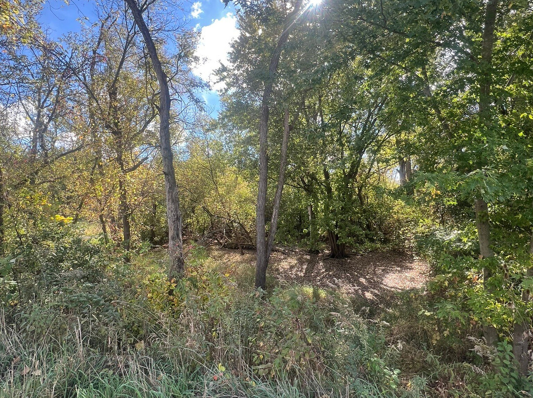 Van Patten Woods Forest Preserve-Wadsworth必去景点