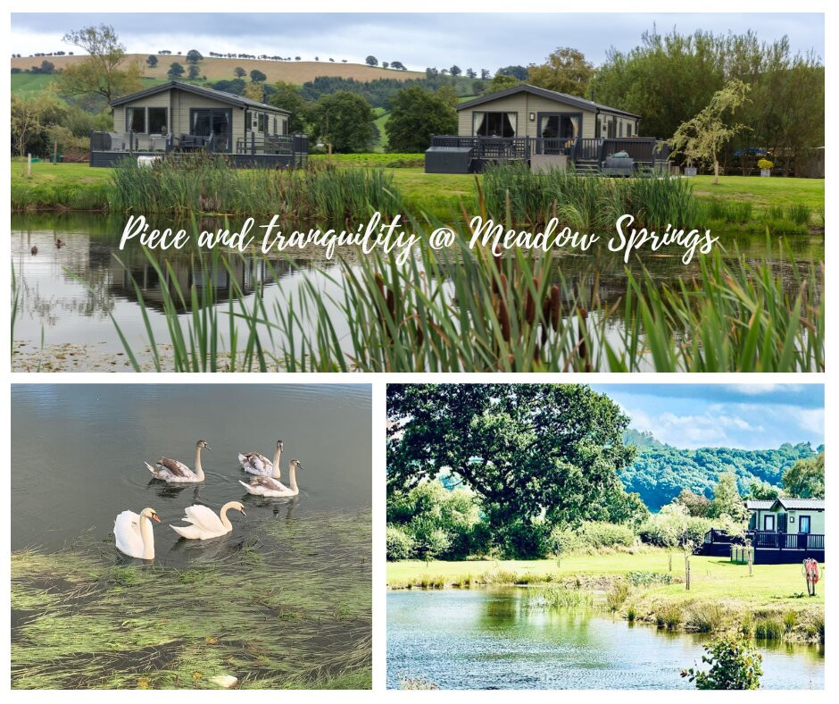 Meadow Springs Country & Leisure Park