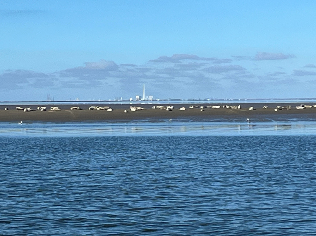 Turfaergen Mandopigen-Mandoe必去景点