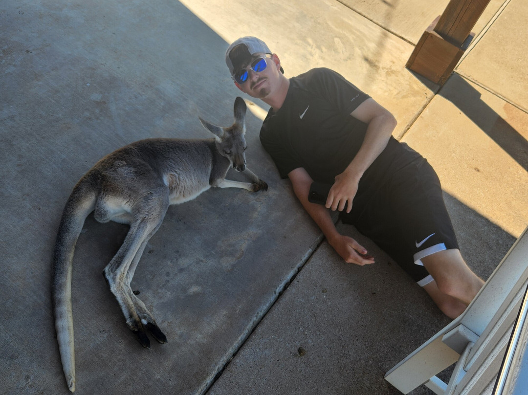 Blue Hills Ranch-McGregor必去景点