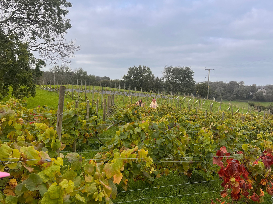 Red Wharf Bay Vineyard-Pentraeth必去景点