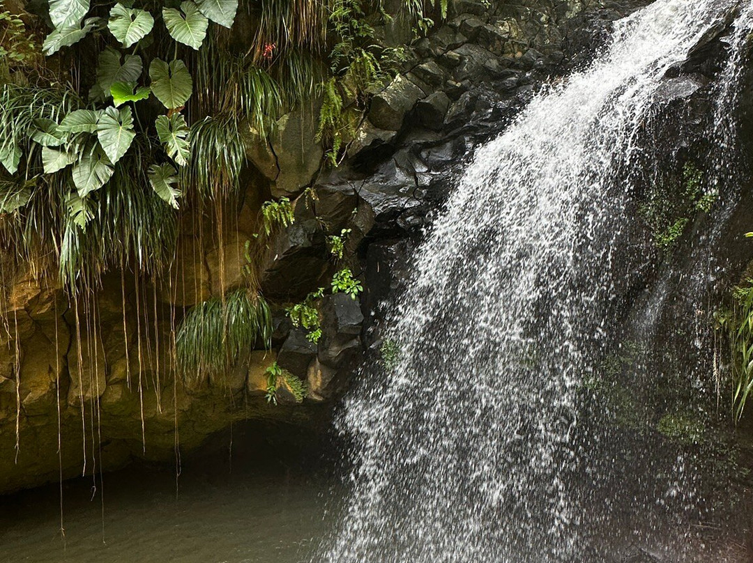 Annandale Falls-St. George's必去景点