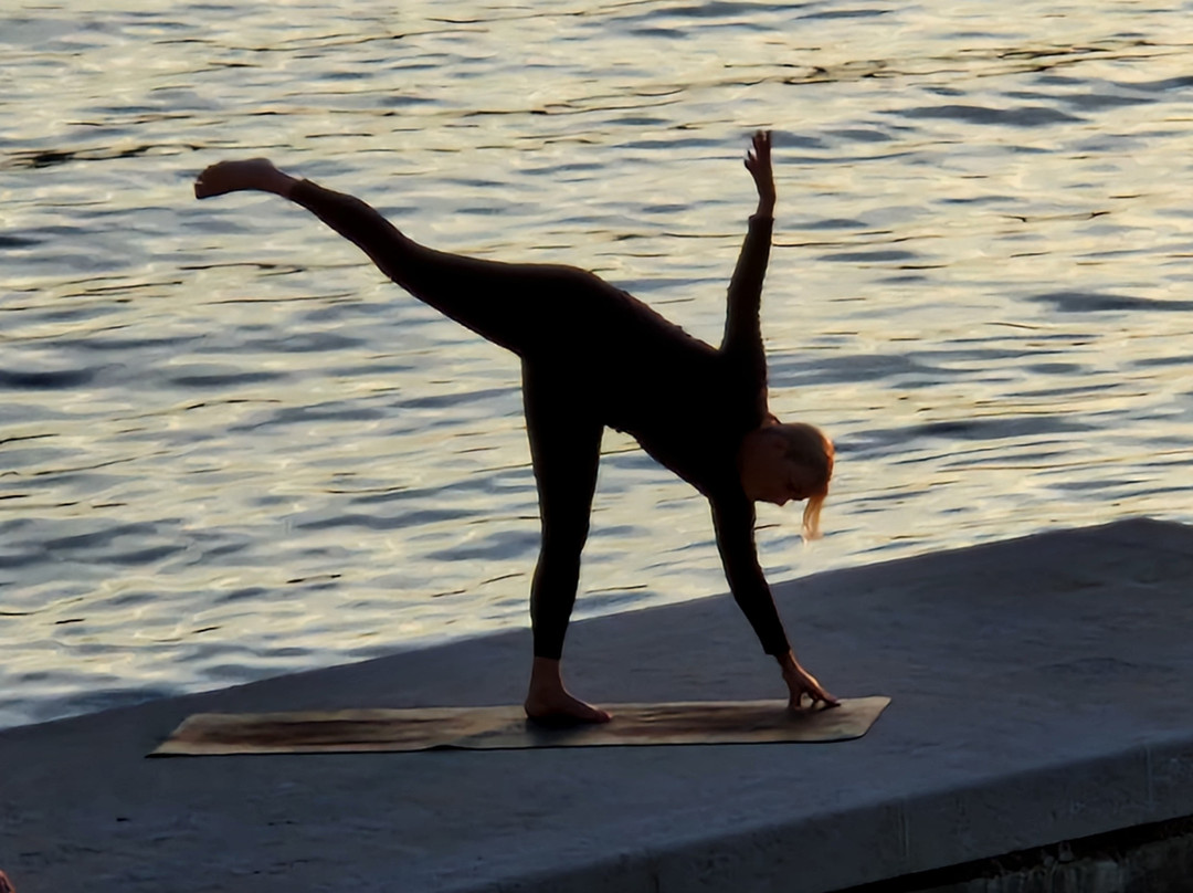 欧帕缇斯卡西维杰塔四世大酒店主图