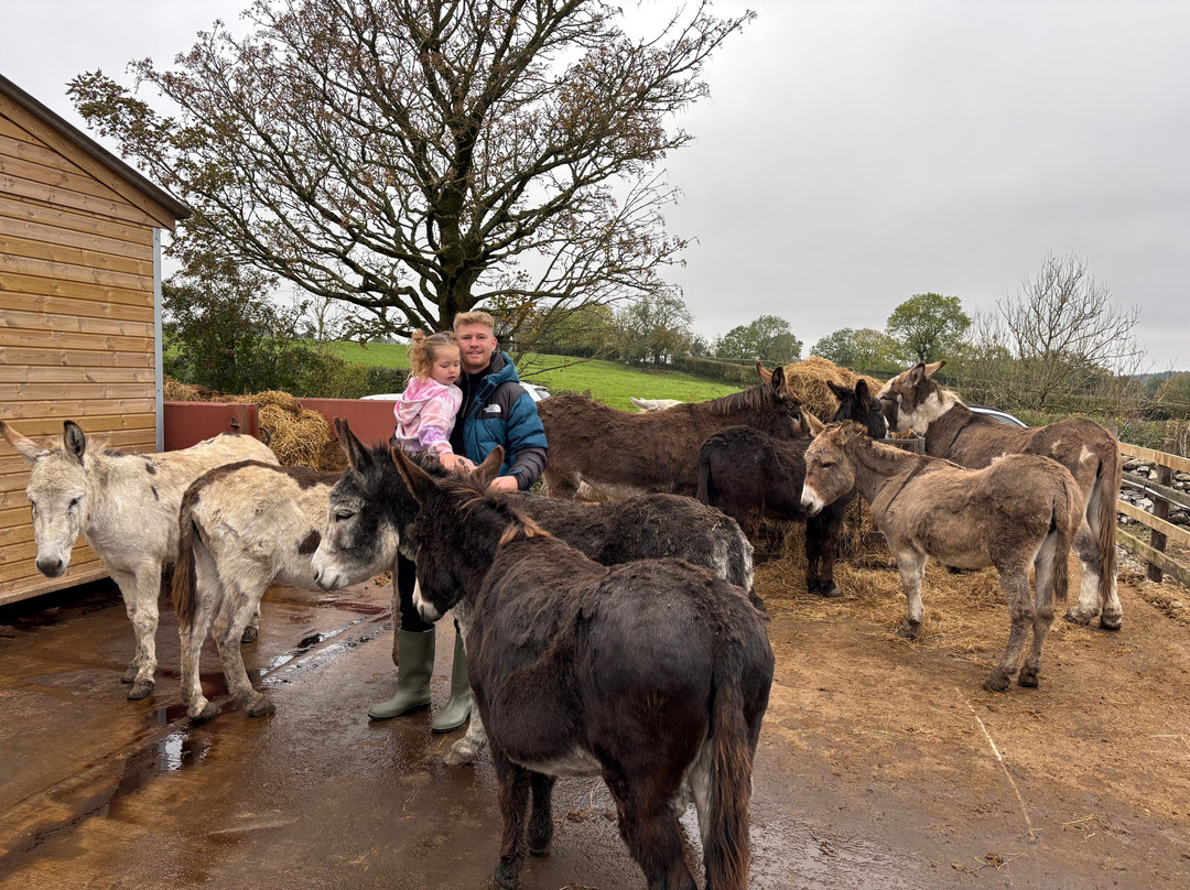 Barnhill Donkeys Retreat Sleagill