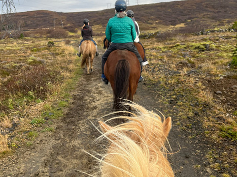 Ishestar Horse Riding Tours-雷克雅未克必去景点