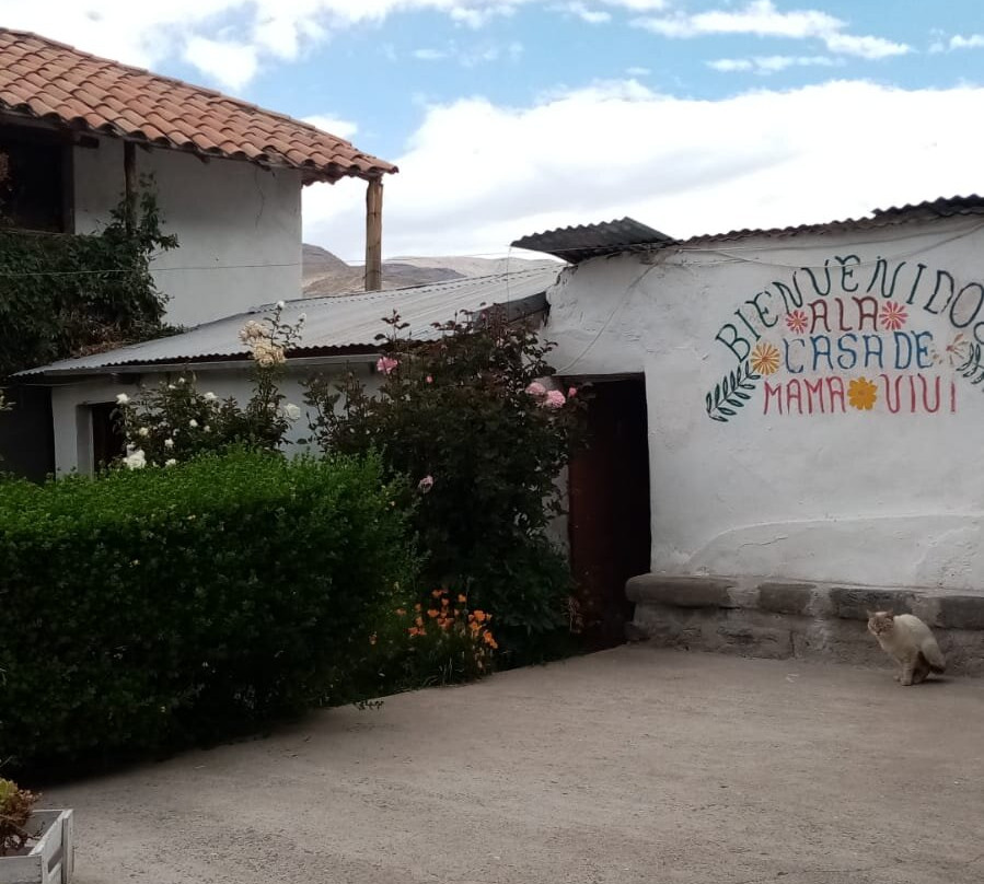 Casa Vivencial Mama Vivi