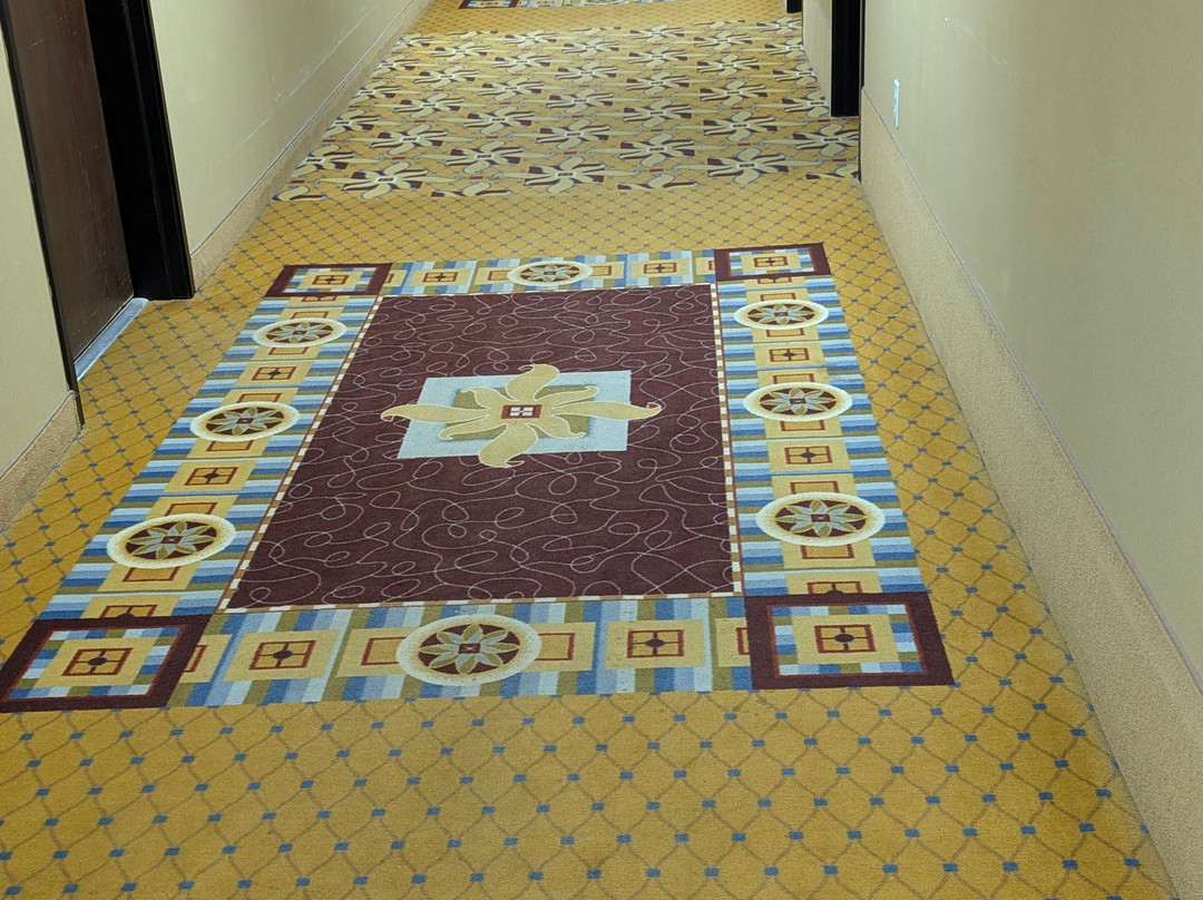 Best Western Davison Inn主图