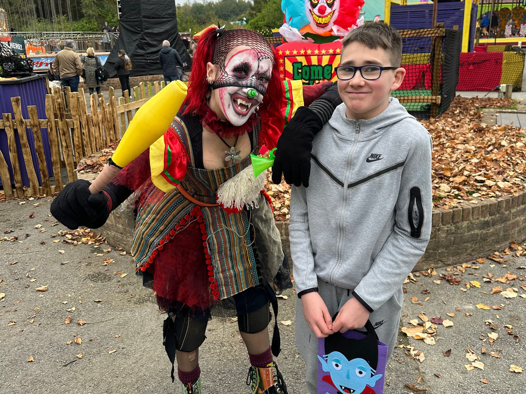 Lightwater Valley Family Adventure Park-North Stainley必去景点