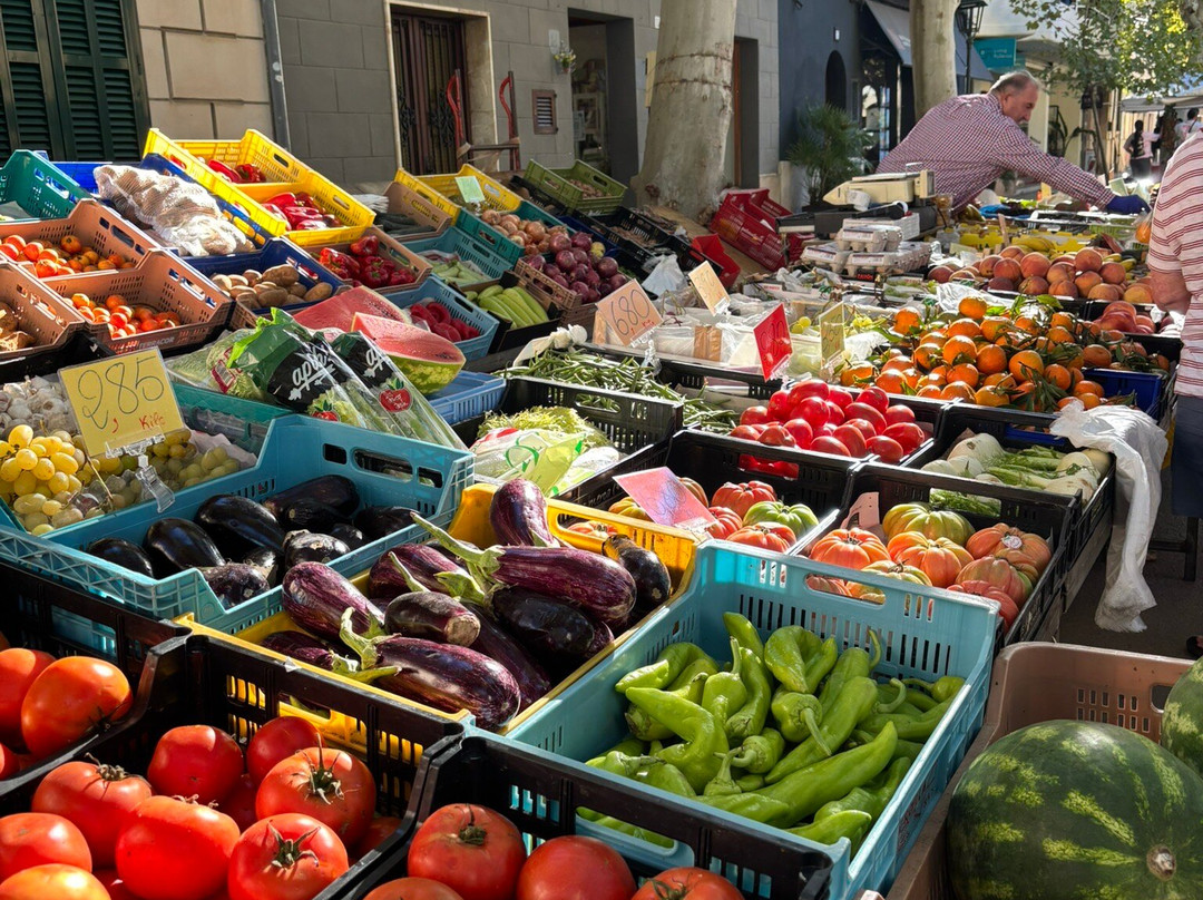 Pollensa Market-Pollenca必去景点