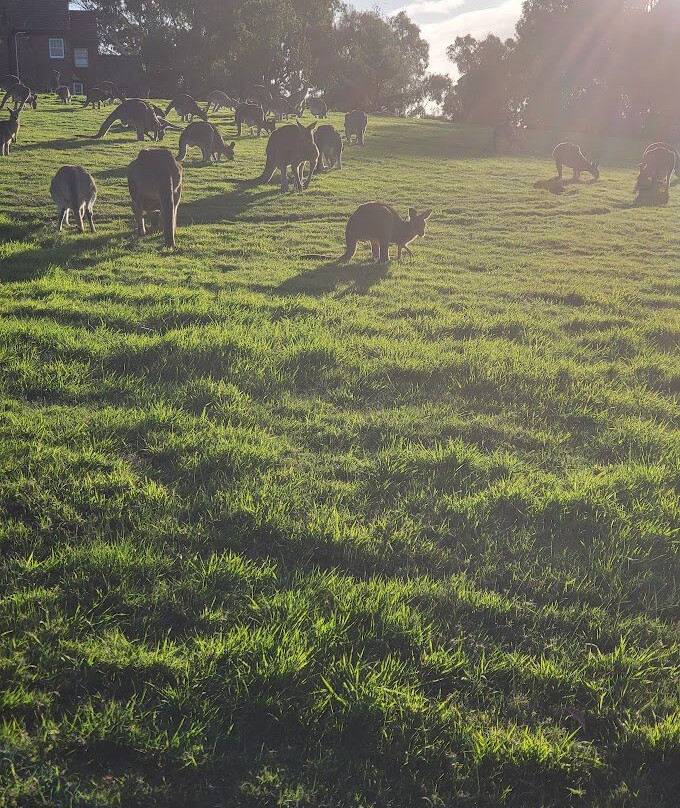 Westerfolds park-Templestowe必去景点