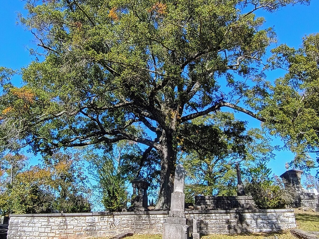 Myrtle Hill Cemetery-罗马必去景点