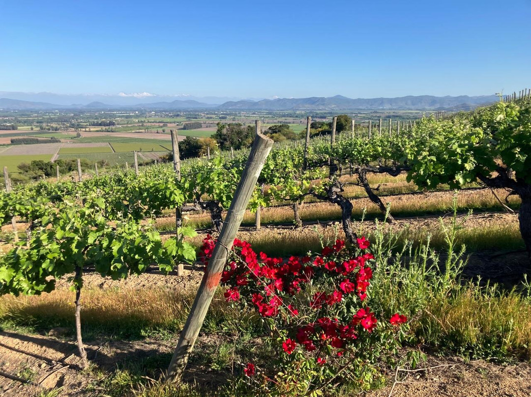 Natural Wine Tours-Palmilla必去景点