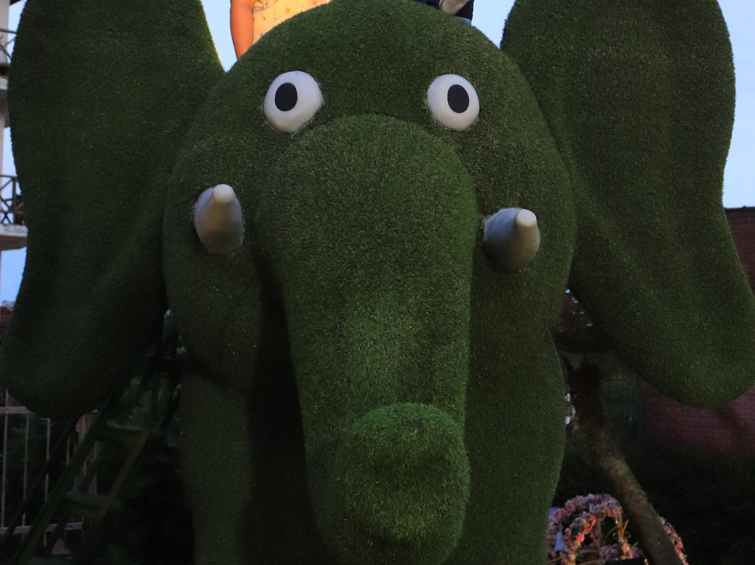 Hortênsias Garden-格拉玛多必去景点