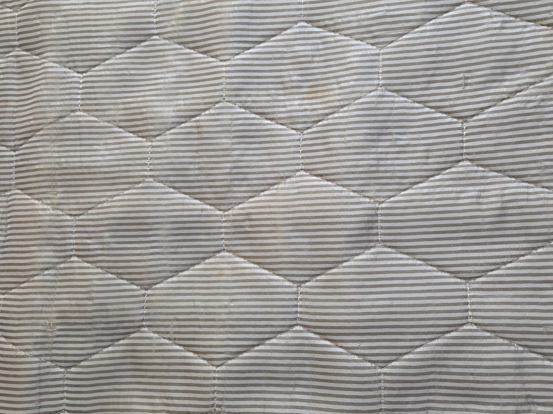 Comfort Inn & Suites Augusta Fort Gordon Area主图