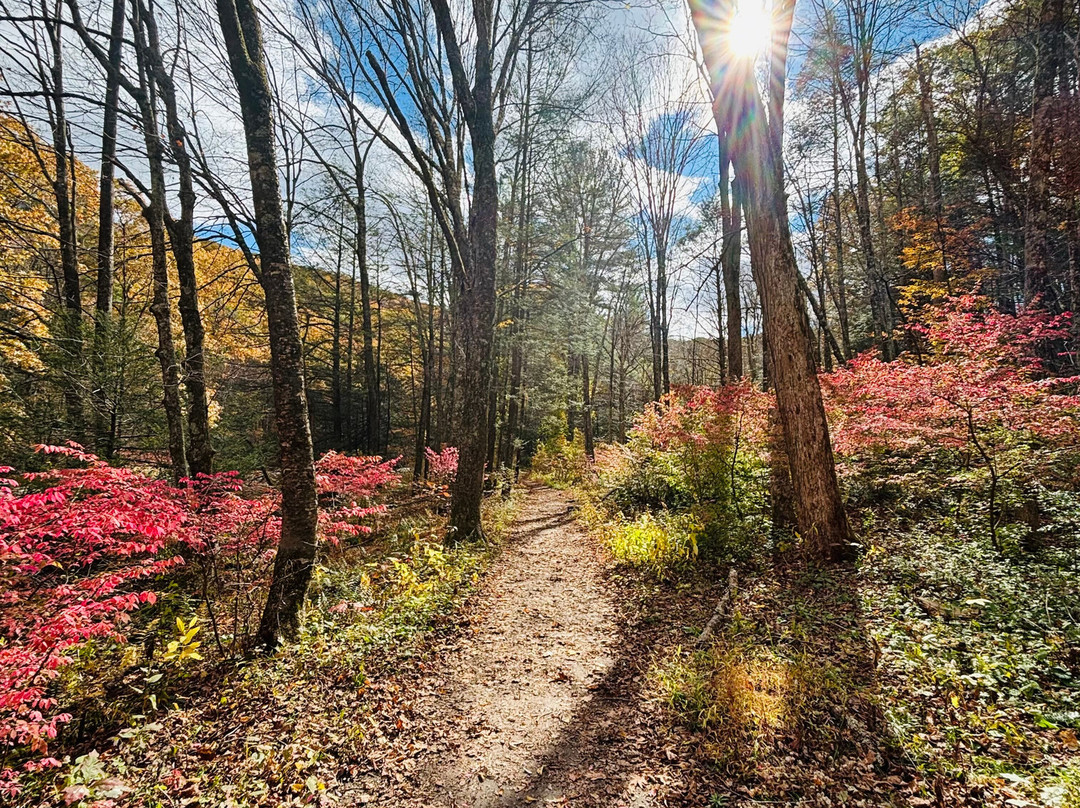 Hidden Valley Preserve-Washington必去景点