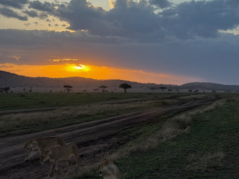 Kway tours and Safari's-桑给巴尔岛必去景点