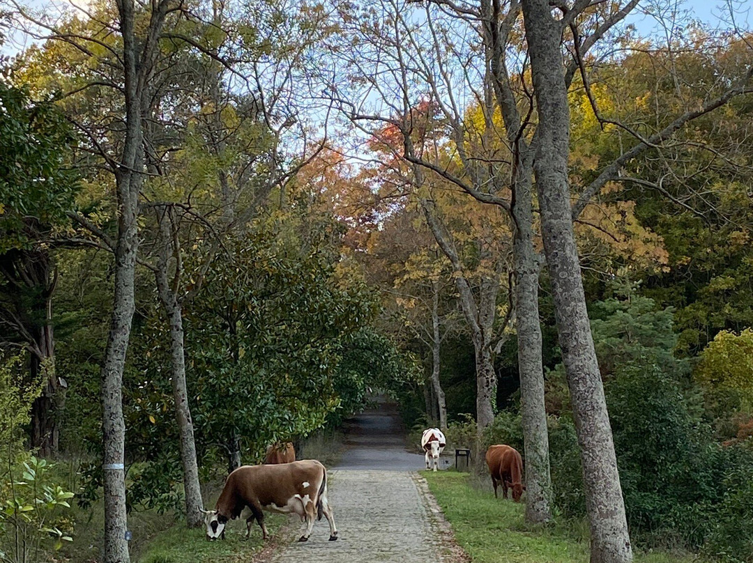 Ataturk Arboretumu-伊斯坦布尔必去景点