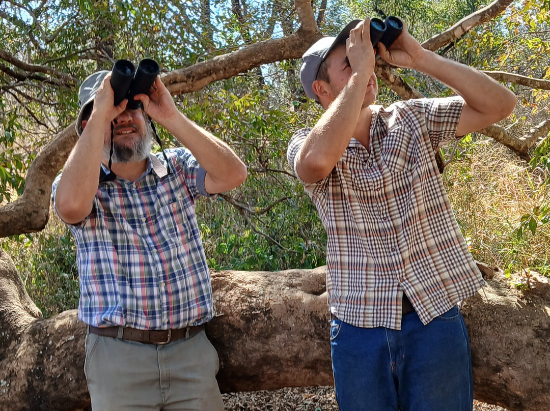 Lourie Trips & Tours-路易特里哈特必去景点