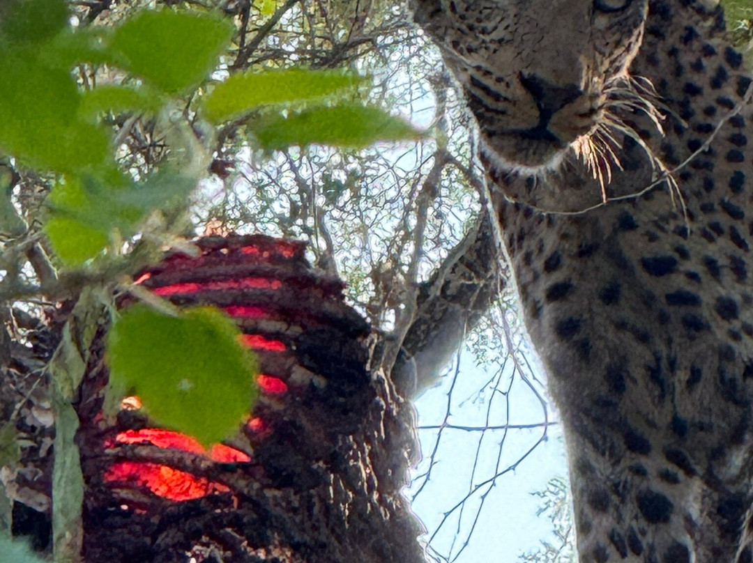 EverseenAfrica-霍德斯普鲁特必去景点