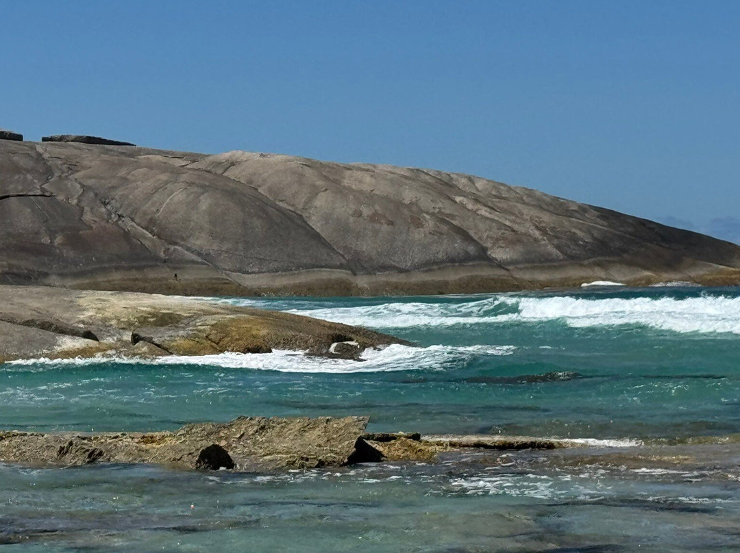 Wow Wilderness Ecocruises-沃泊尔必去景点