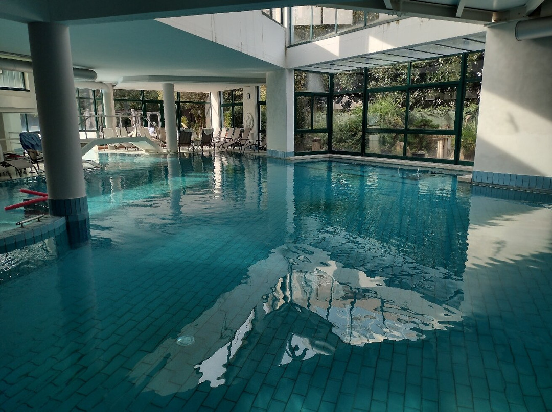 Hotel Olympia Terme主图