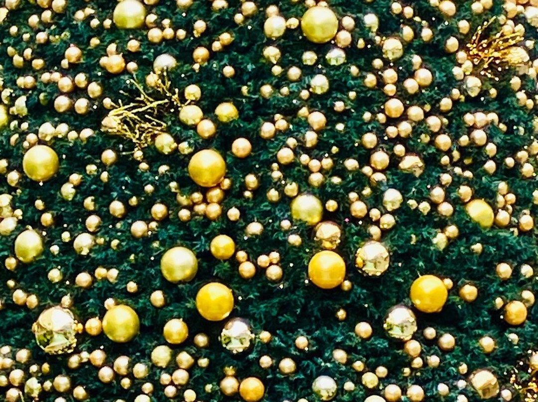 太平洋购物中心-布罗德海滩必去景点