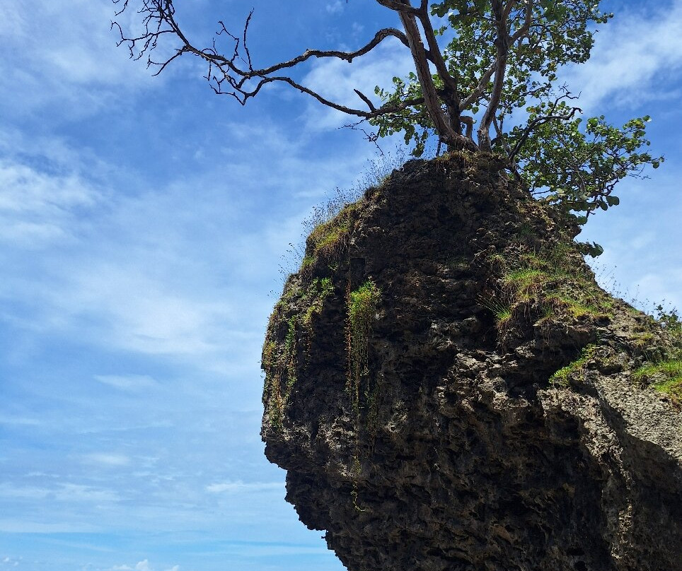 Isla Uvita-利蒙港必去景点