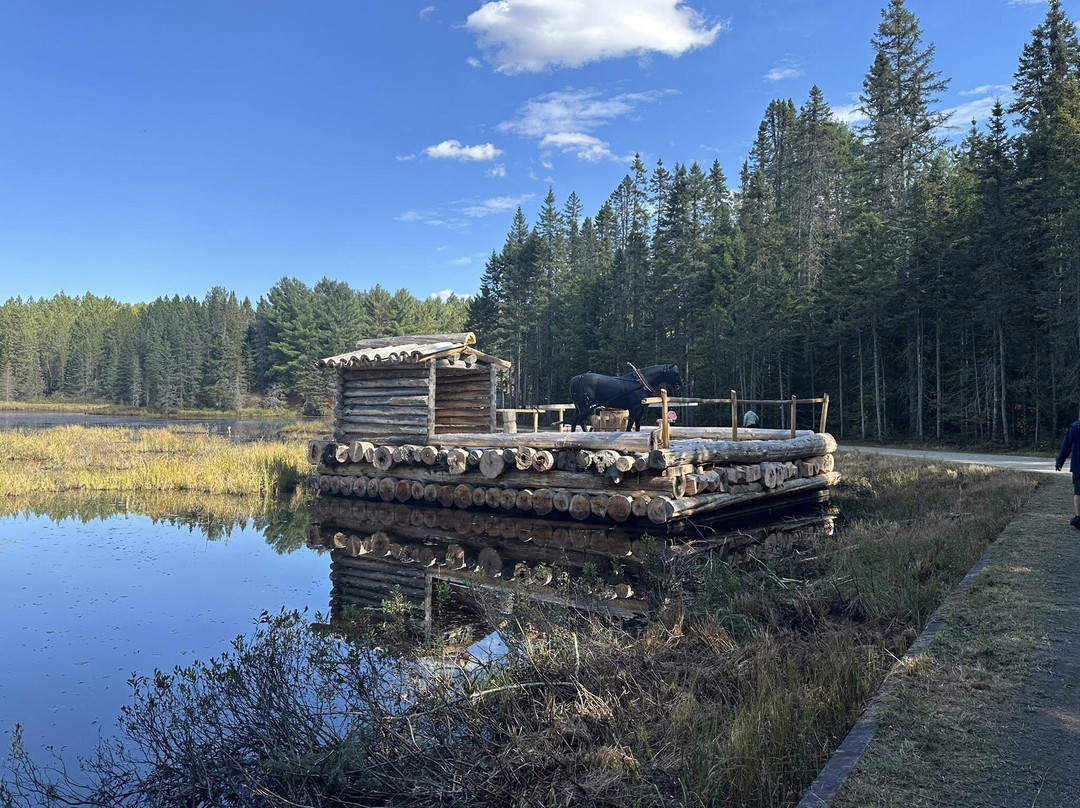 Algonquin Logging Museum-阿冈昆公园必去景点