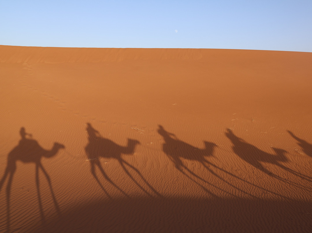 Discover Sahara-扎古拉必去景点