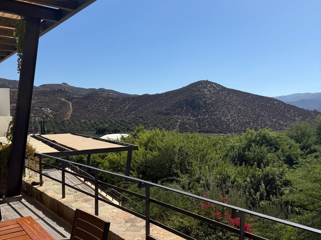 Tours by Mariana-恩塞纳达必去景点