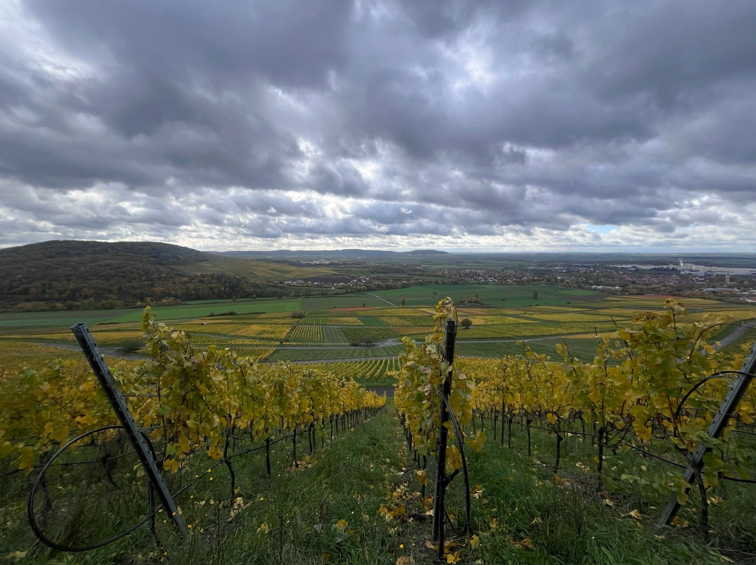 Romantik Hotel Zehntkeller主图