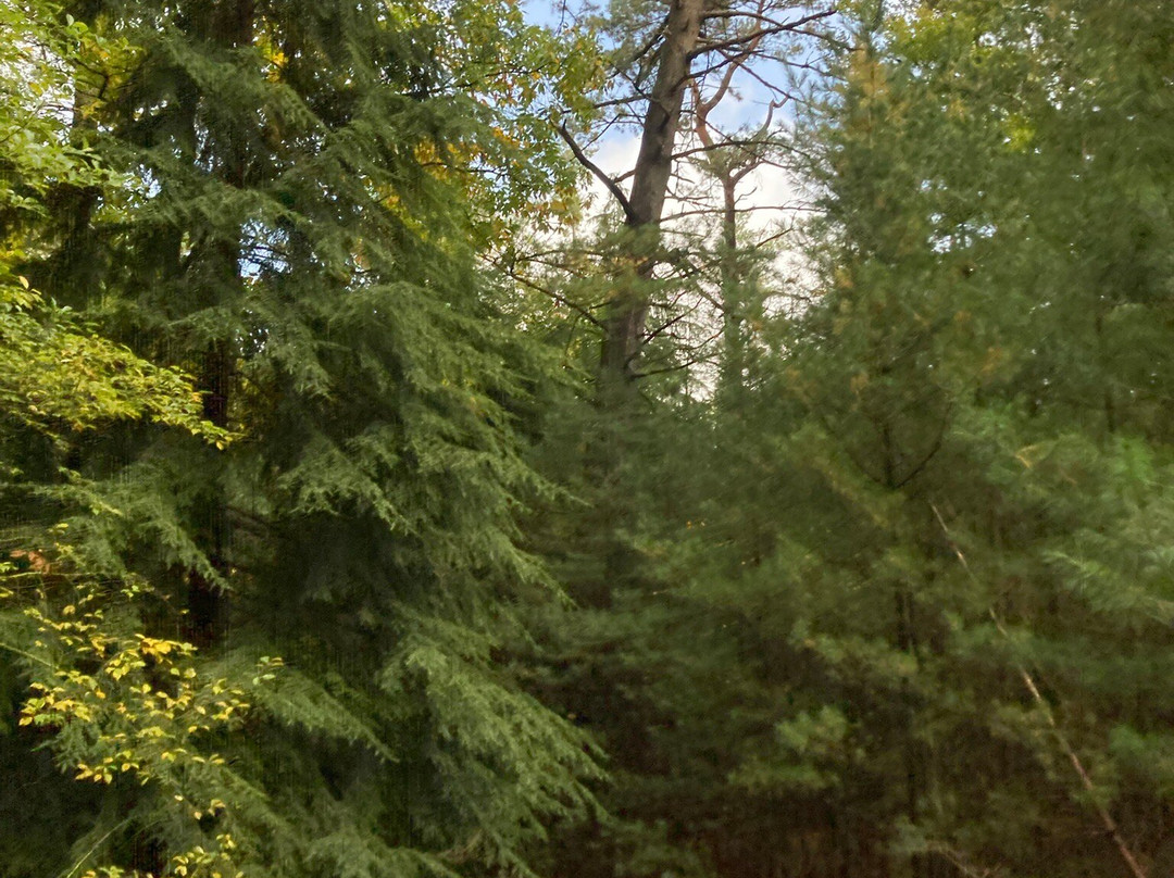 Park De Wezenlanden-兹沃勒必去景点