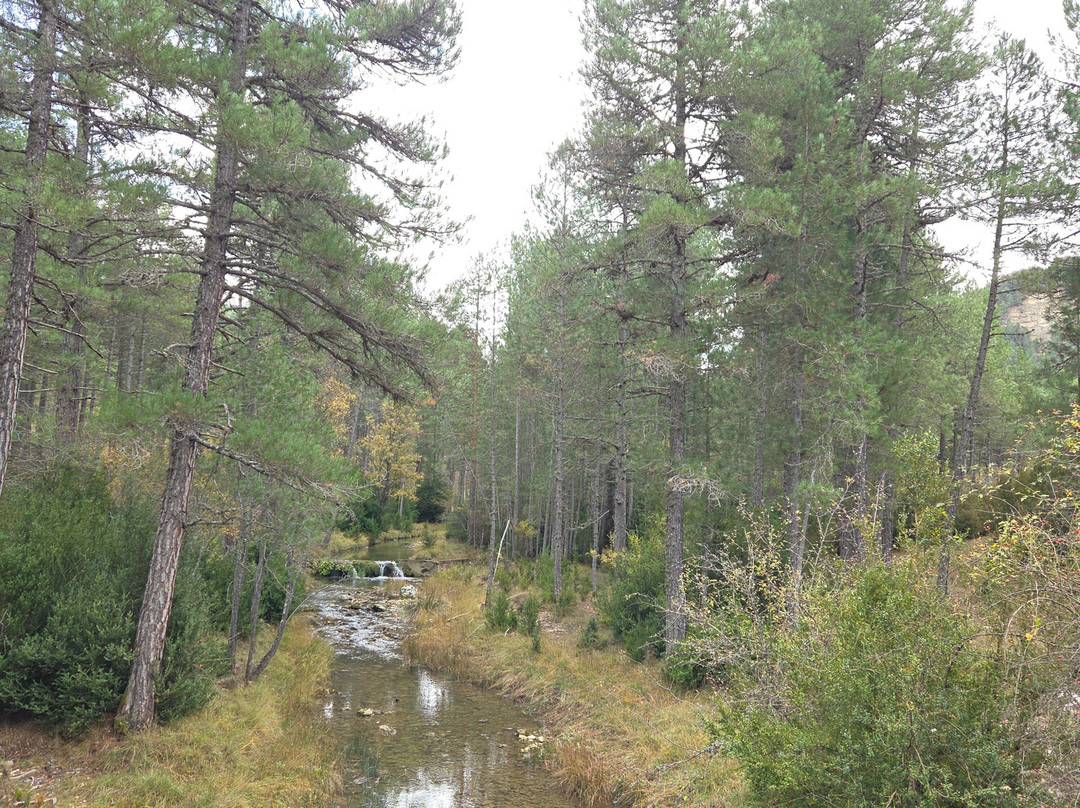Parque del Hosquillo-拉斯马哈达斯必去景点