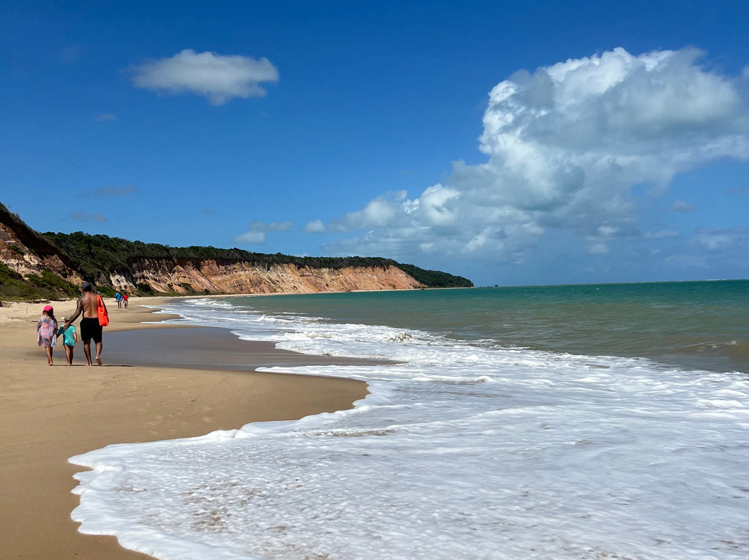 Carro Quebrado Beach-Barra de Santo Antonio必去景点