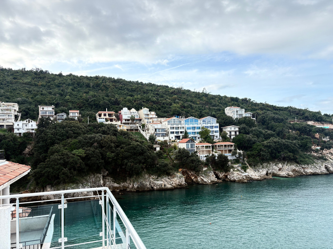 Pansion Vongola主图