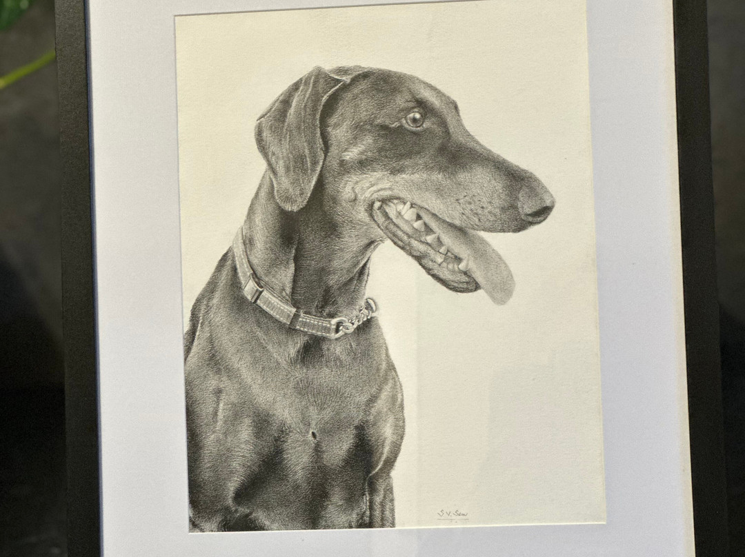 Gradient Art Studio-杰伊瑟尔梅尔必去景点