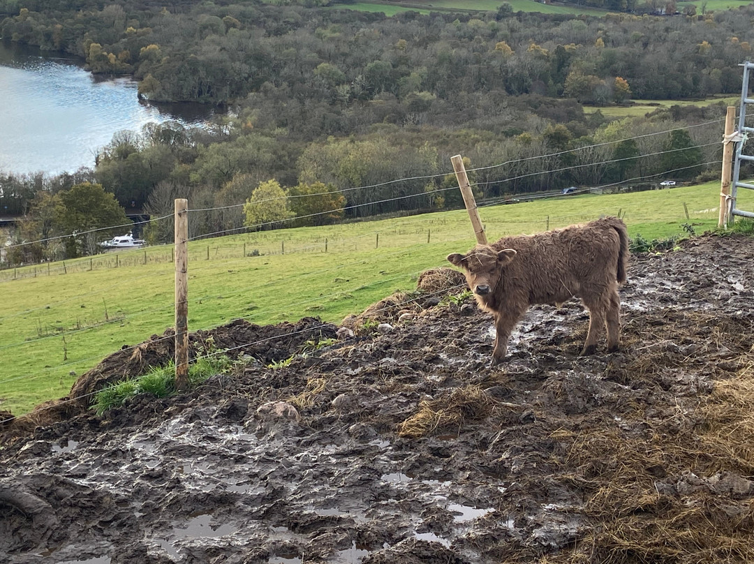 Loch Ness Hub & Travel-德拉姆纳德罗希特必去景点