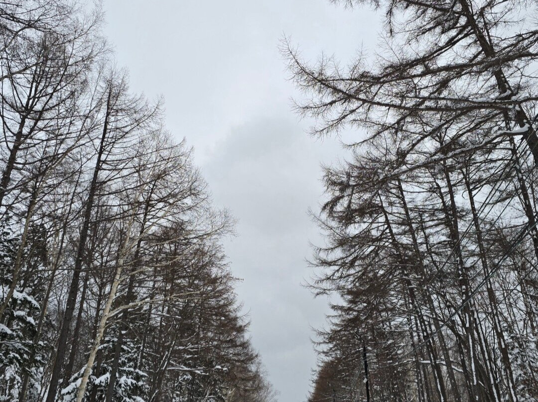 Gagarin Park-南萨哈林斯克必去景点