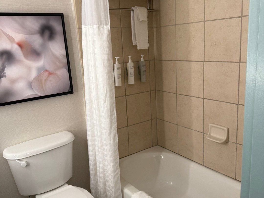 Hilton Garden Inn Columbia/harbison主图