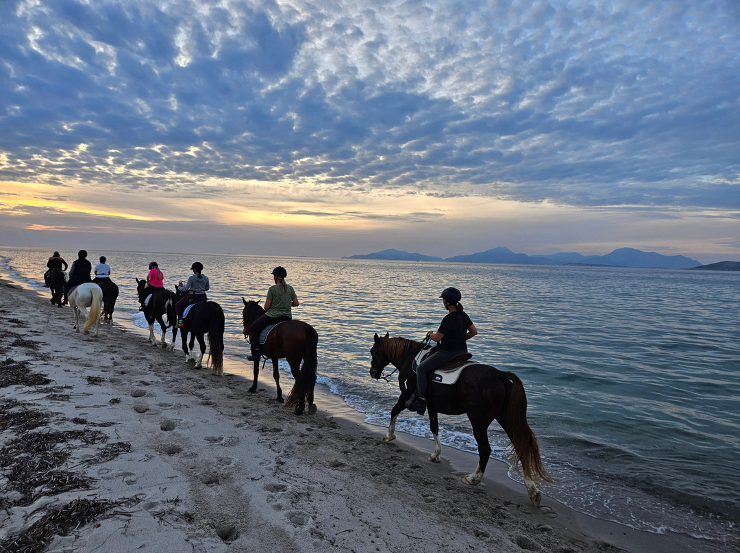 Salt Lake Stables-Marmari必去景点