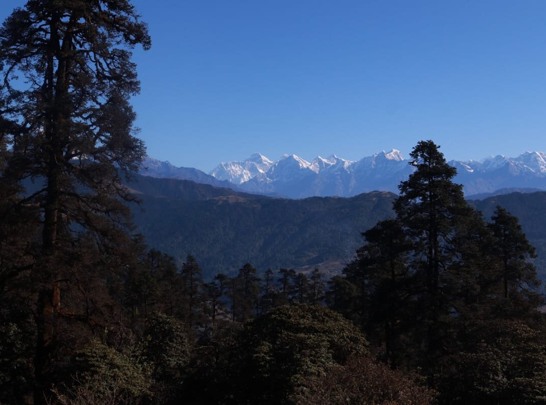 Berg Reisen Nepal P. Ltd.-Budhanilkantha必去景点