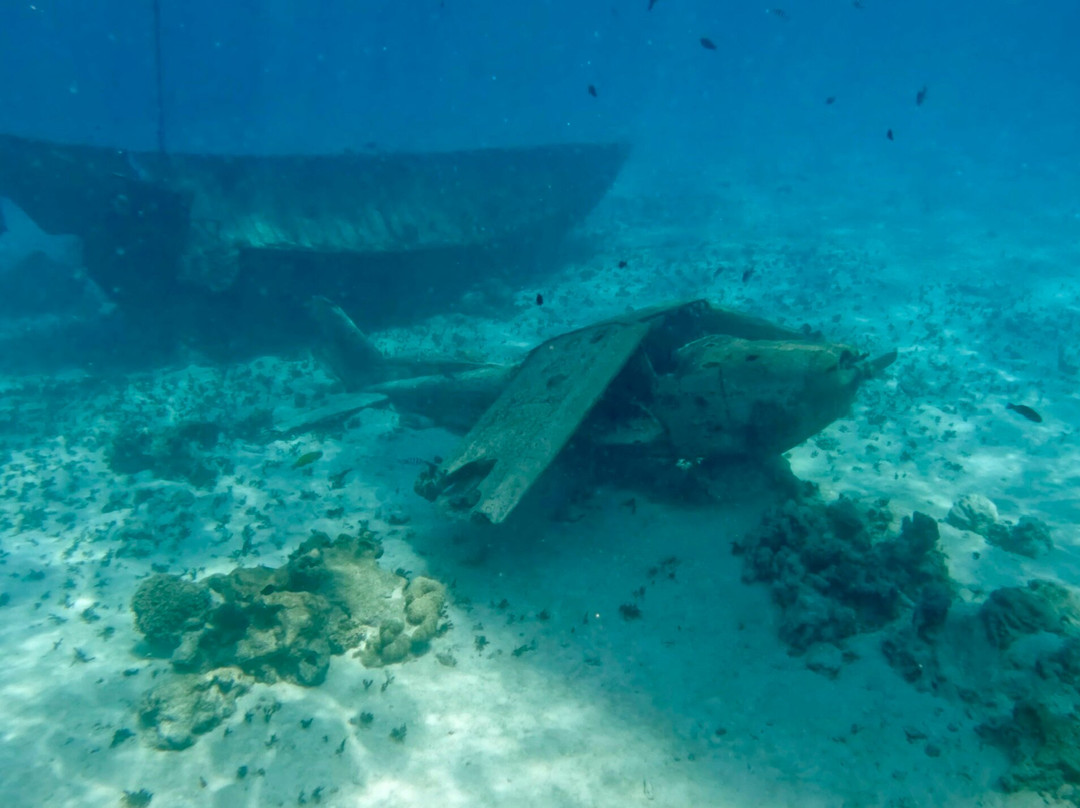 Fluid Tahiti Dive Center-普纳奥亚必去景点