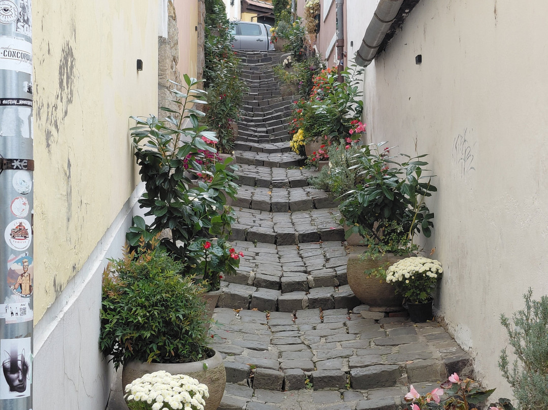 Old Town-圣安德烈必去景点