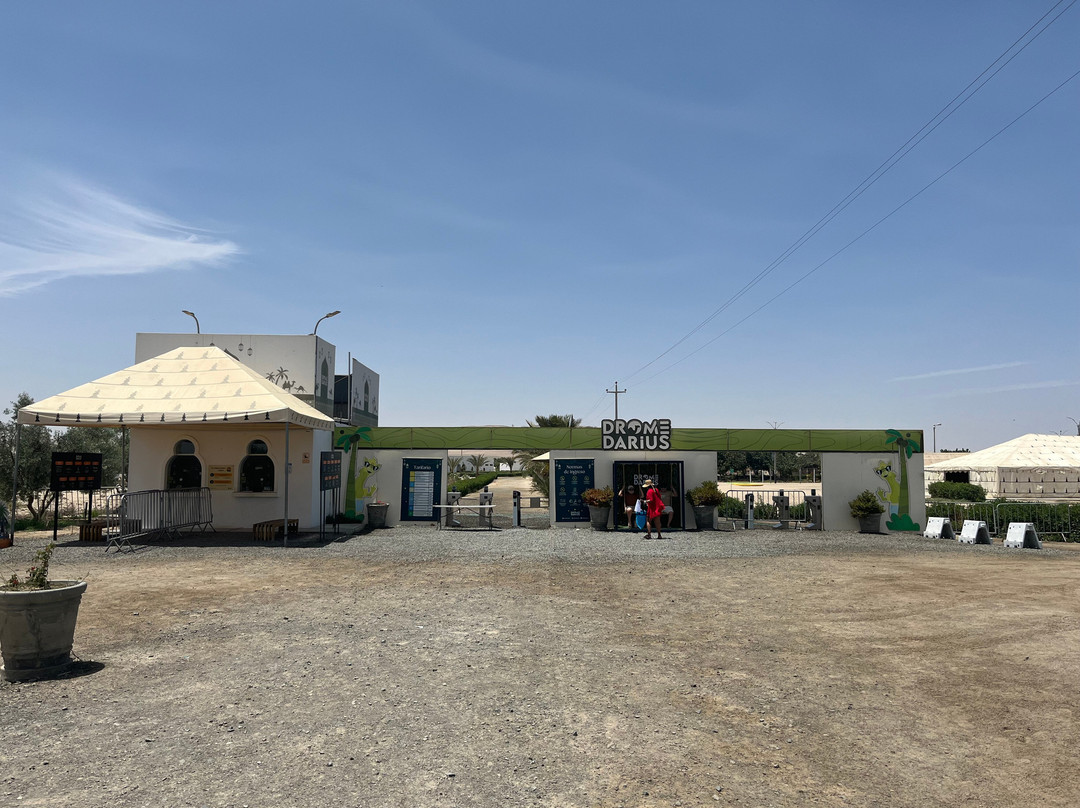 Dromedarius-伊卡必去景点