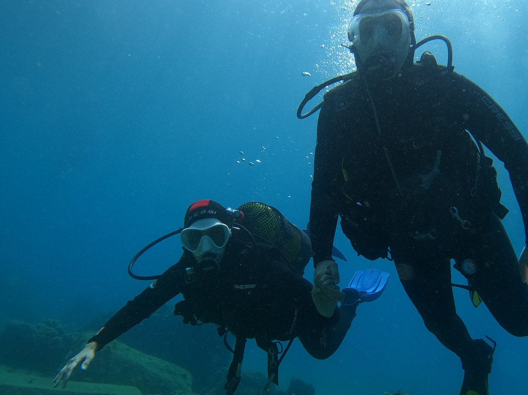 Liquid Planet Dive Centre-卡拉罗港口必去景点