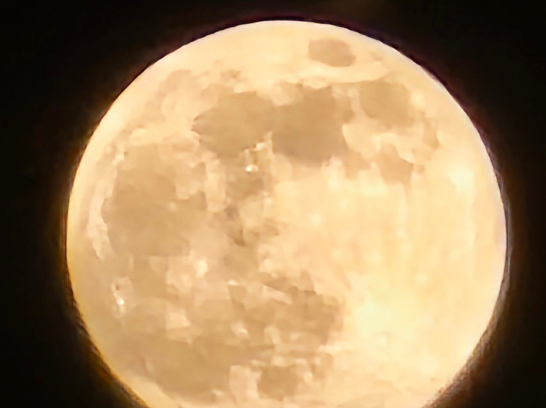 费斯塔客栈酒店主图