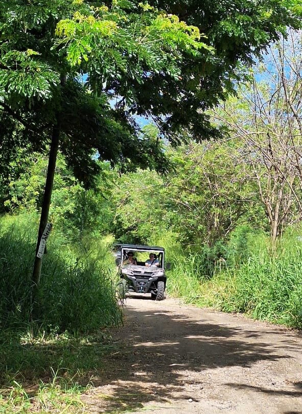 BUGGY Quad Martinique-Le Diamant必去景点